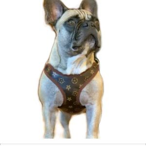 L Vuitton dog cat pet harness with leash